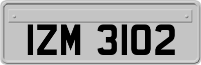 IZM3102