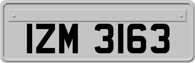 IZM3163