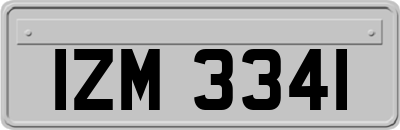 IZM3341