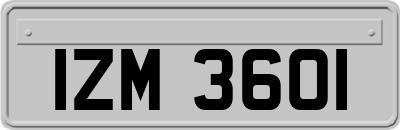 IZM3601