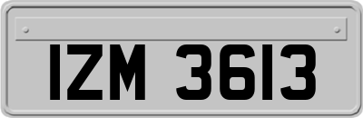 IZM3613