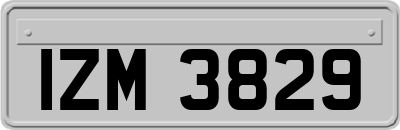 IZM3829