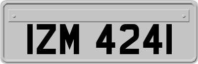 IZM4241