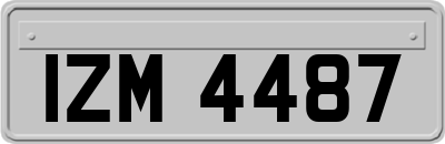 IZM4487