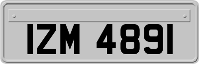 IZM4891