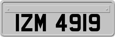 IZM4919