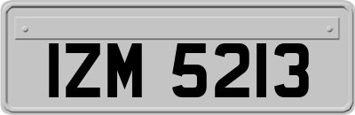 IZM5213