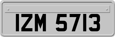 IZM5713