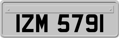 IZM5791