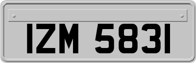 IZM5831