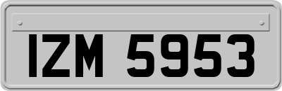 IZM5953