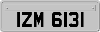 IZM6131