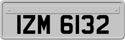 IZM6132