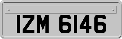 IZM6146