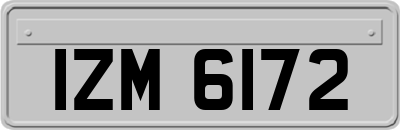 IZM6172