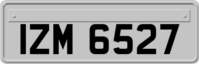 IZM6527