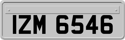 IZM6546