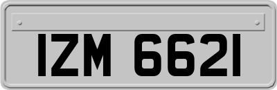 IZM6621