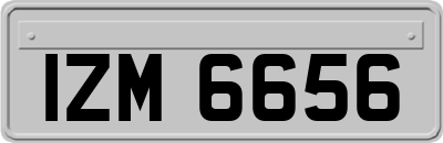 IZM6656