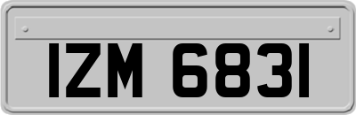 IZM6831