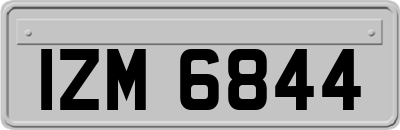 IZM6844