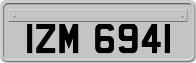 IZM6941