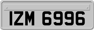 IZM6996