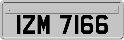 IZM7166