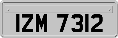 IZM7312