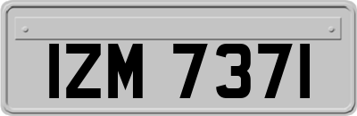 IZM7371