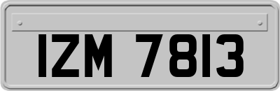 IZM7813