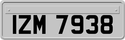 IZM7938