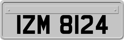 IZM8124