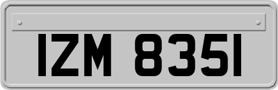 IZM8351