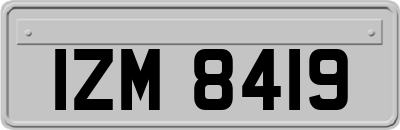 IZM8419