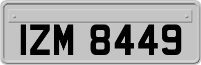 IZM8449