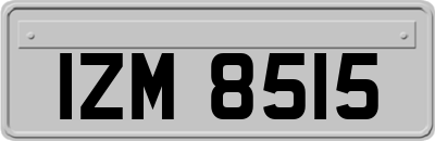 IZM8515