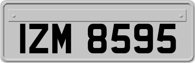 IZM8595