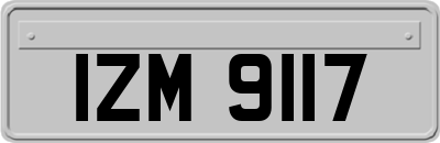 IZM9117
