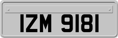 IZM9181
