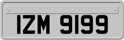 IZM9199