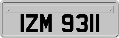 IZM9311