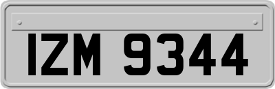 IZM9344