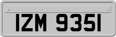 IZM9351
