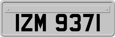 IZM9371