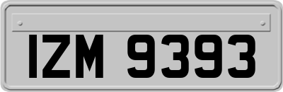 IZM9393