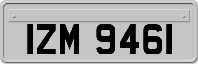IZM9461