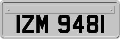 IZM9481