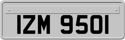 IZM9501