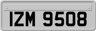 IZM9508